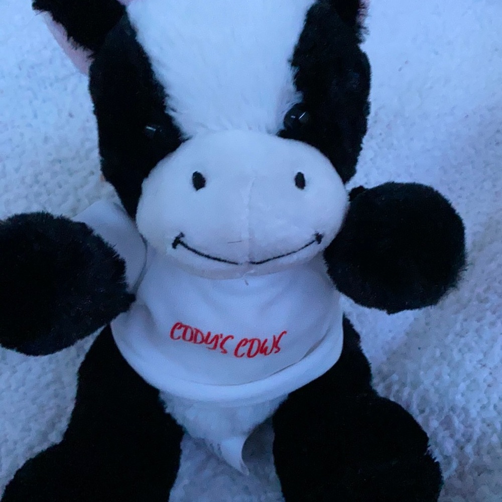 Cody Orlove Cow